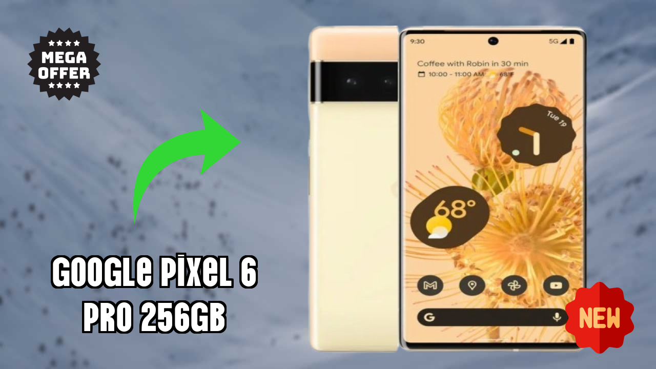Google Pixel 6 Pro 256GB Display Review: P-OLED Screen